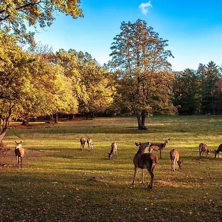 Appartement Wildpark Perle *